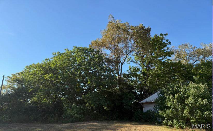 105/107 Lombar St - Photo 1