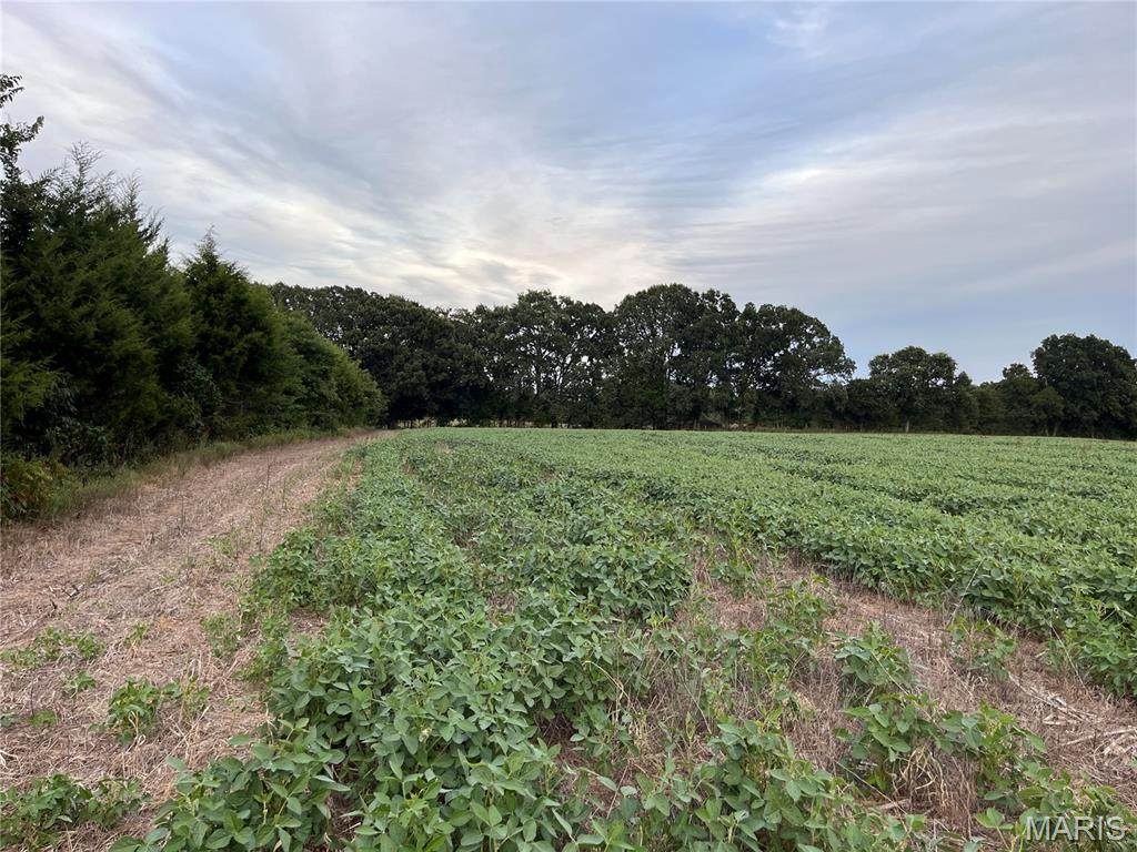 TBD Big Sky Rd - Photo 1