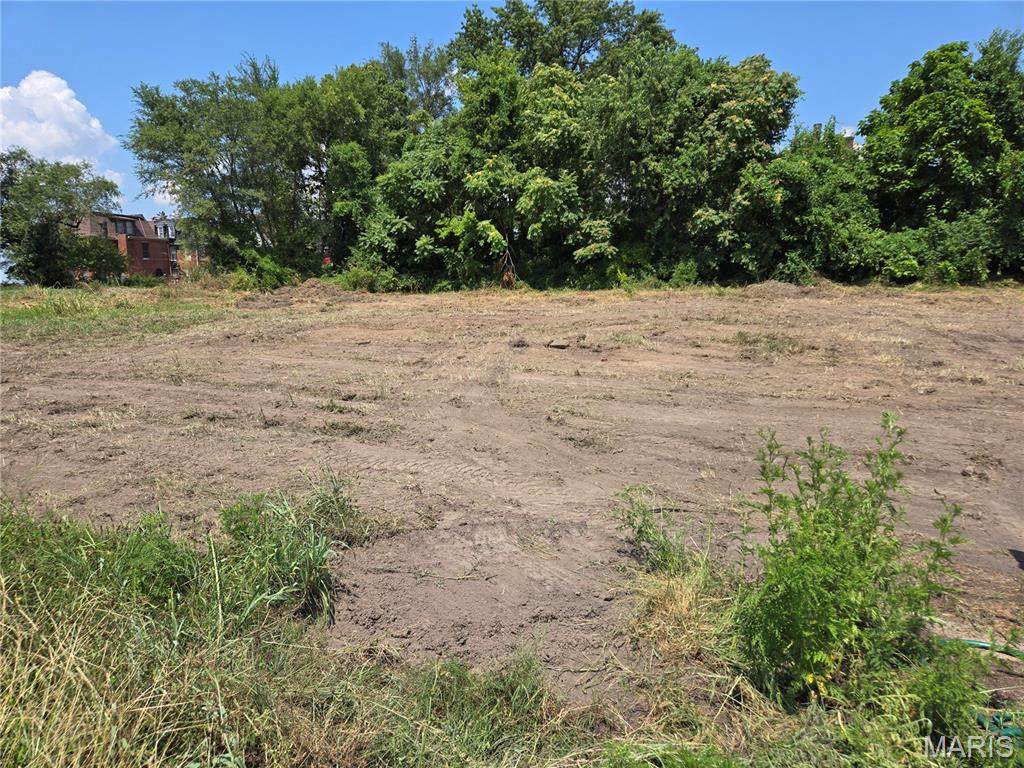 5849 Maple Avenue - Photo 1