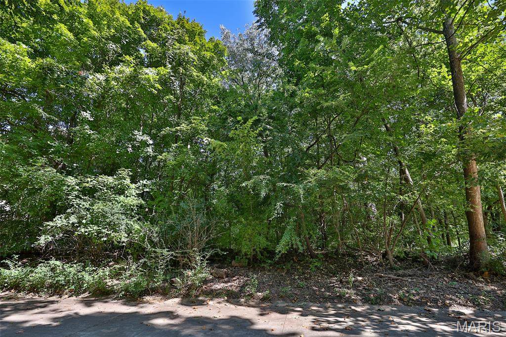 1013 Berry Lane - Photo 1