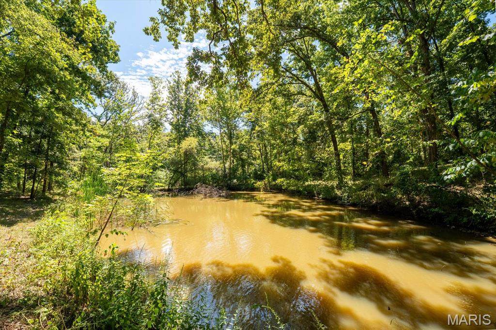 5728 Brand Woods Drive - Photo 1