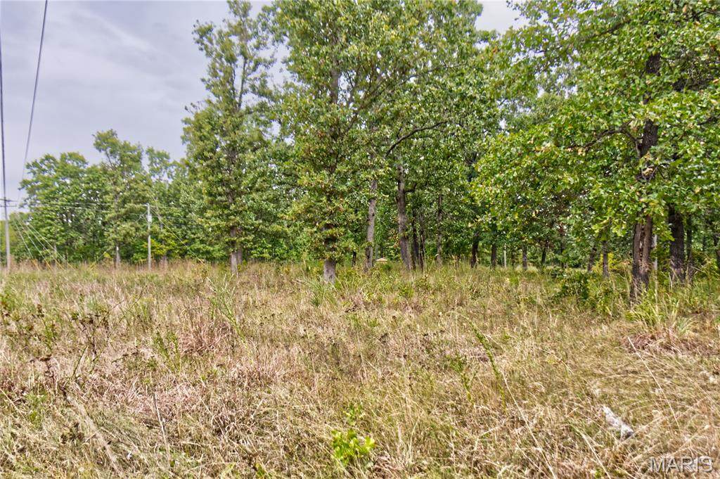 26049 Ivy Bend Rd - Photo 1