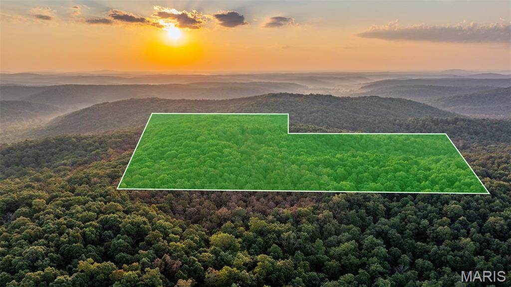 000 County Road 137 - Photo 1