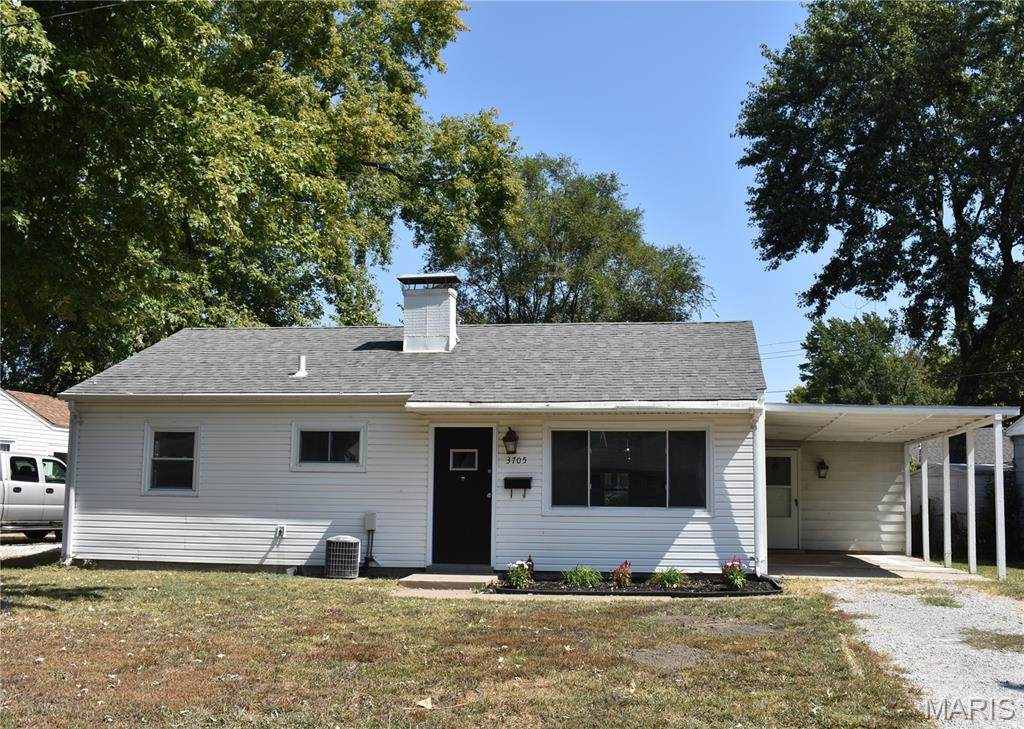 3705 Little Flower Lane - Photo 1