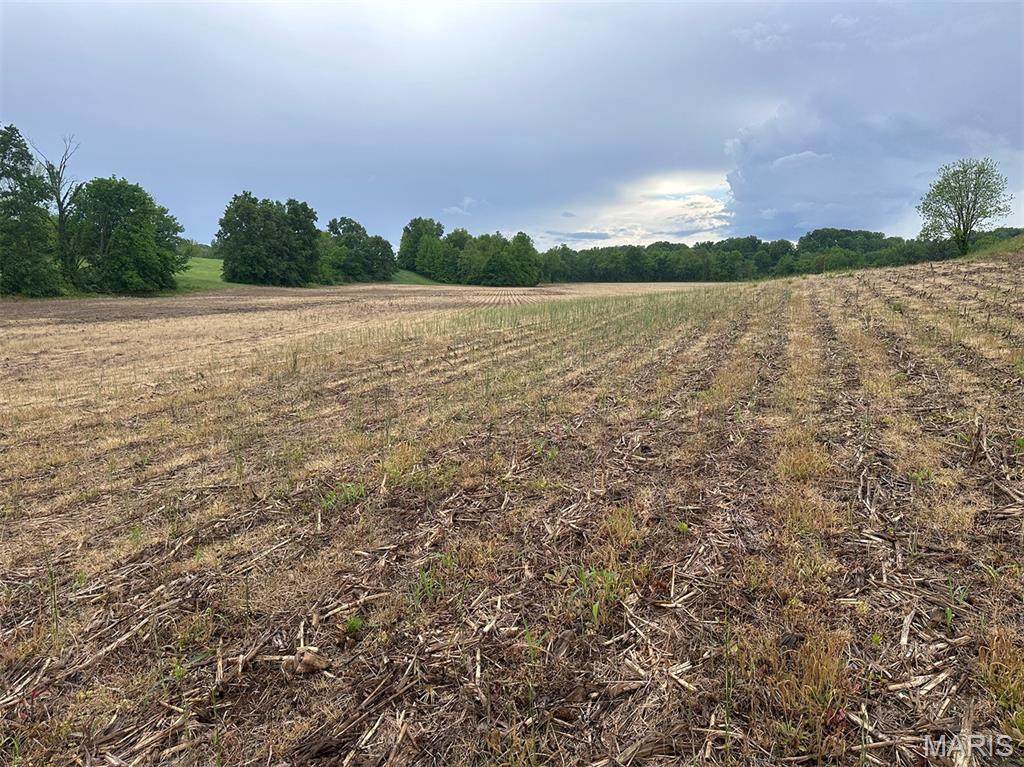 00 Road Runner Hollow Road - Photo 1