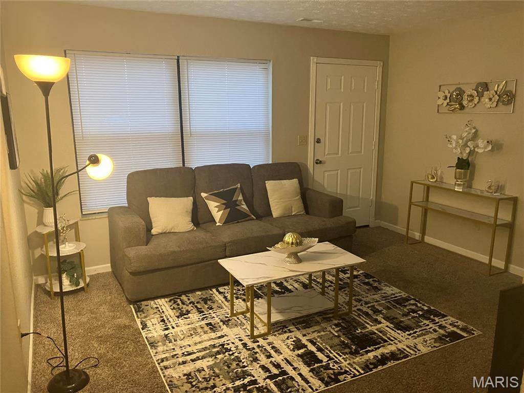 1009 Belle Valley Drive - Photo 1