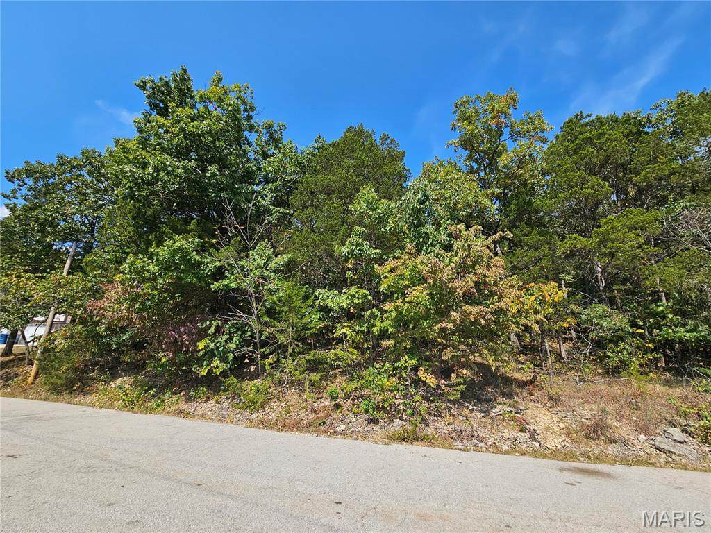 10129 Lake Ridge Drive - Photo 1