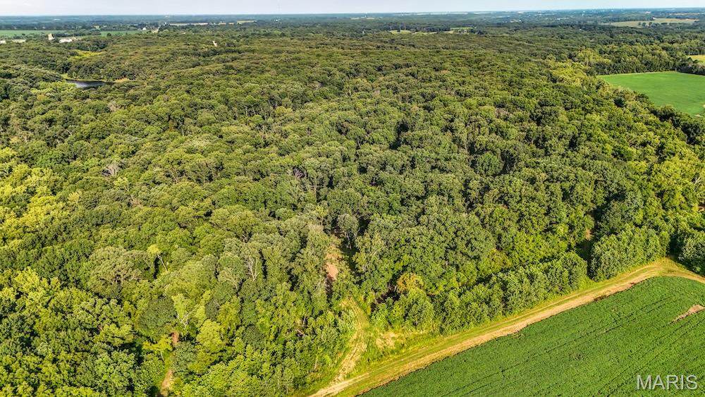 0 County Road 210 - Photo 1