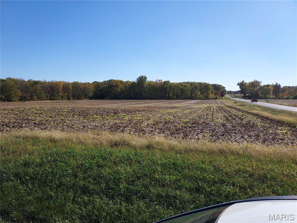 XXX Dudleyville Road - Photo 1