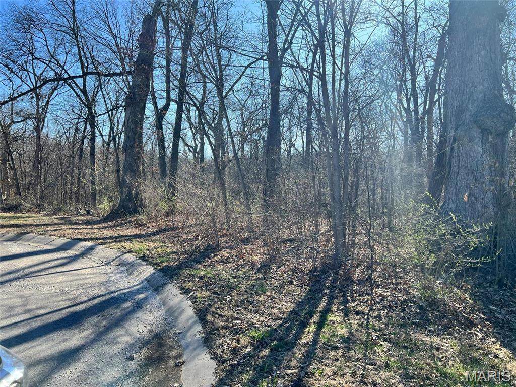 4 Acres Oak Ridge Pond Court Road - Photo 1
