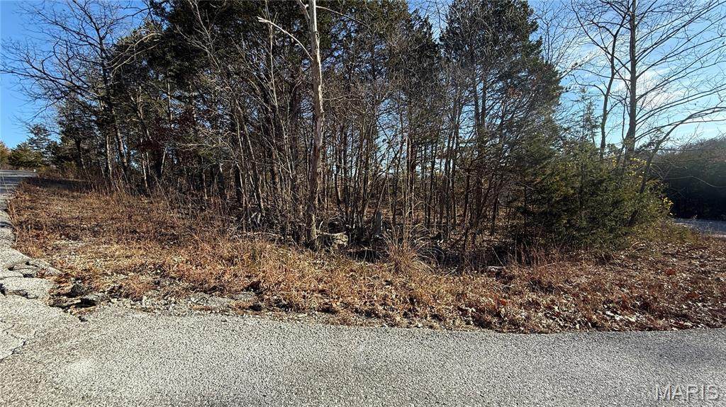 0 Sassafras Dr - Photo 1