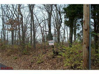 945 Orrville Wood Lane, Wildwood, MO 63005 (#257867) :: Gerard Realty Group
