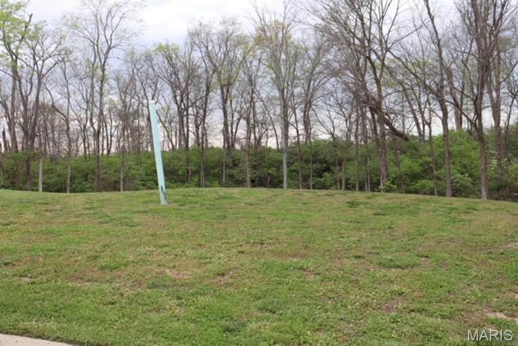 4805 Lone Rock Lane - Photo 1