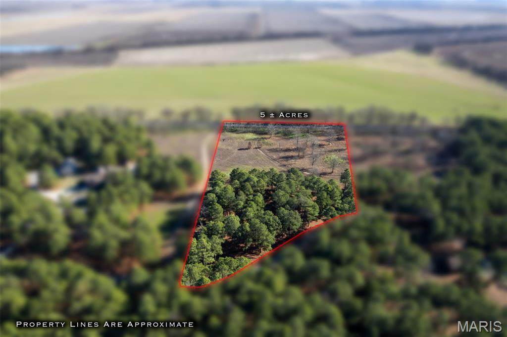 Lot 26 Ridgeway Circle - Photo 1