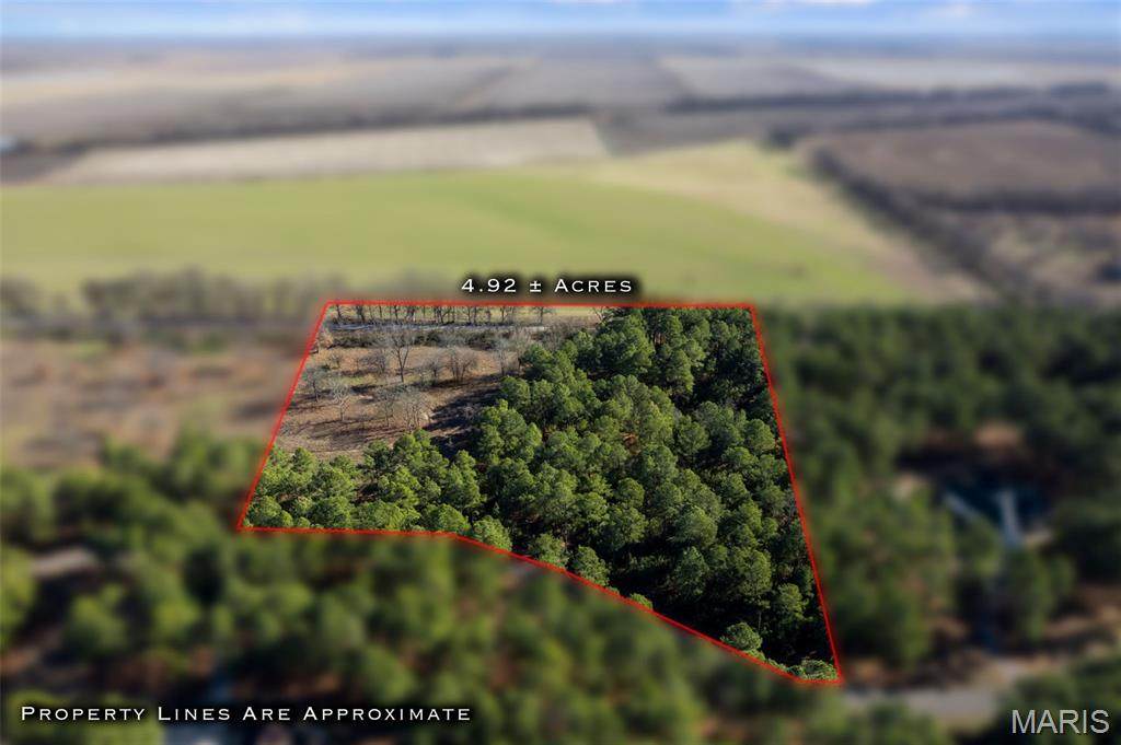 Lot 27 Ridgeway Circle - Photo 1