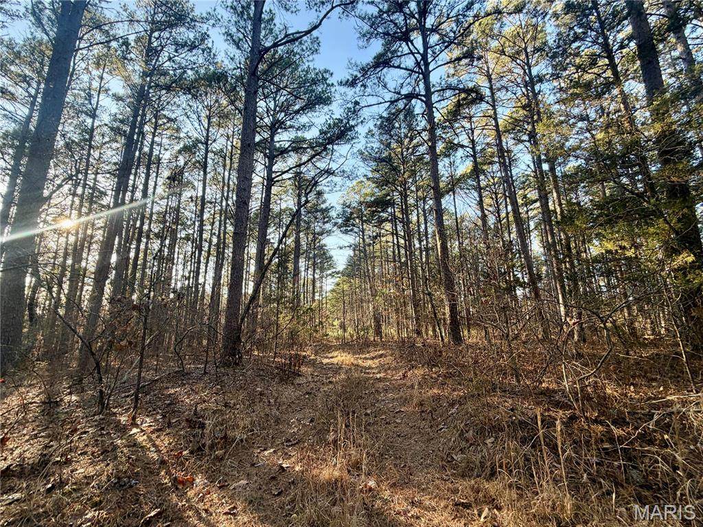 0 County Road 6575 - Photo 1