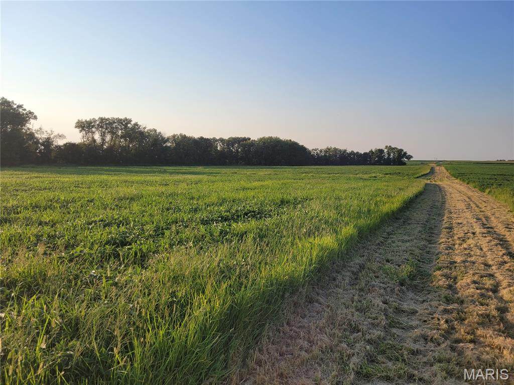 0 Hwy Dd (46+/- Ac) Tract F - Photo 1