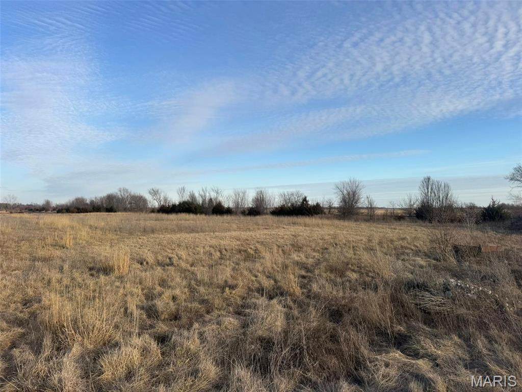 Lot 10 Buckman Drive - Photo 1