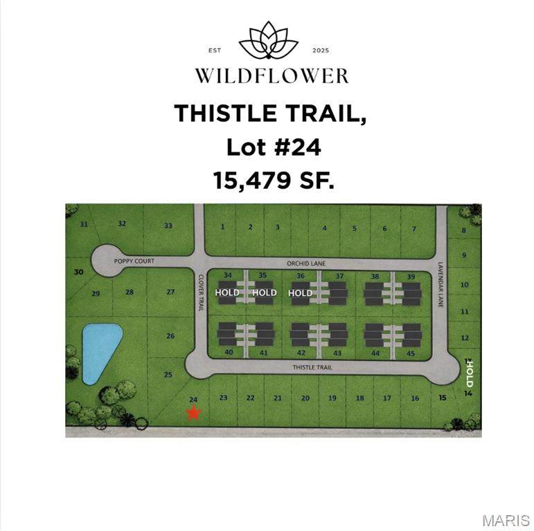 1208 Thistle Trail - Photo 1