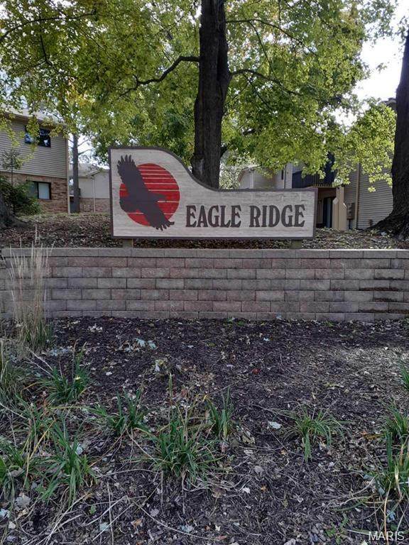 161-306 Eagle Ridge - Photo 1