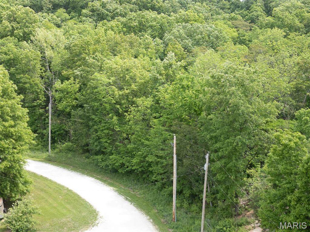 40 Winding Lane - Photo 1