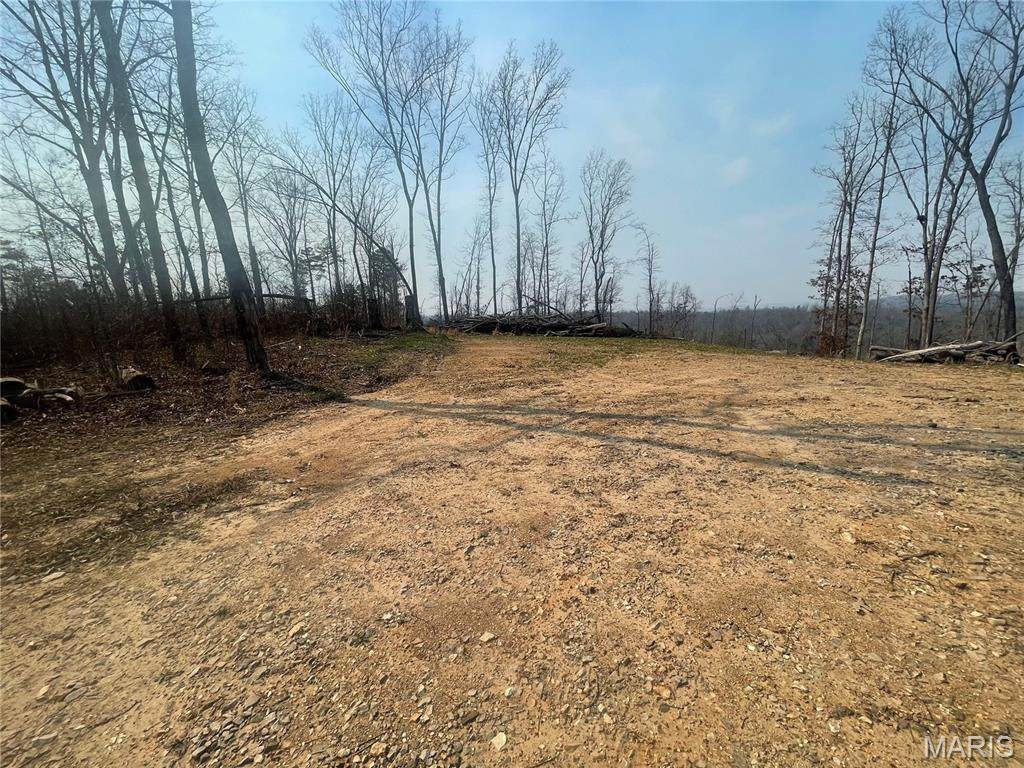 000 Wayne County Road 410 - Photo 1