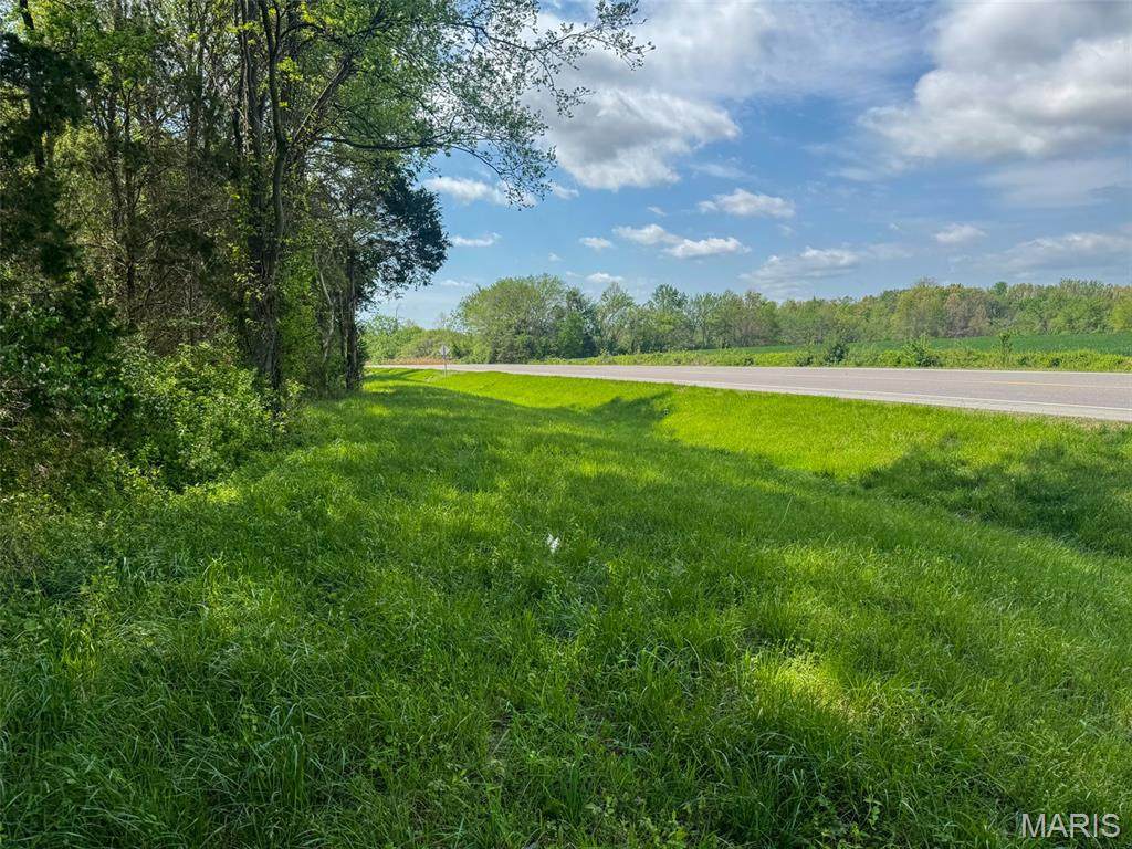 0 Hwy 51 - Photo 1