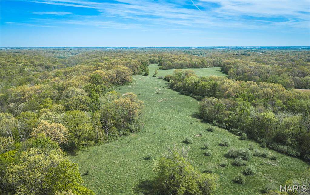 17816 Powerline Road - Photo 1