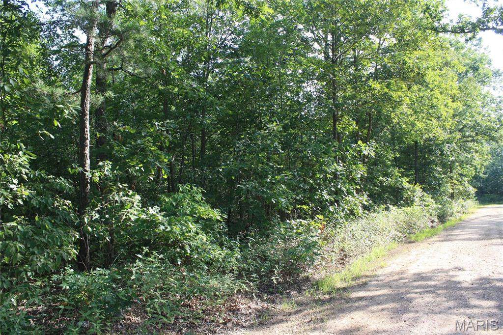 0 County Road 750 - Photo 1