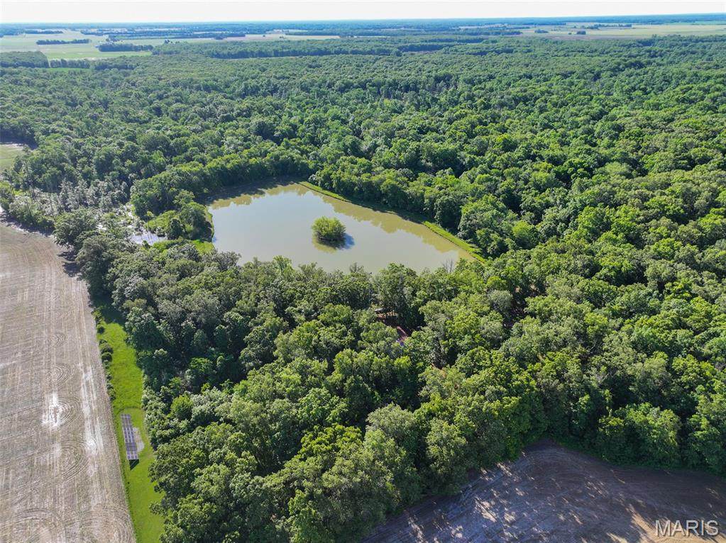 2040 Schlager Road - Photo 1