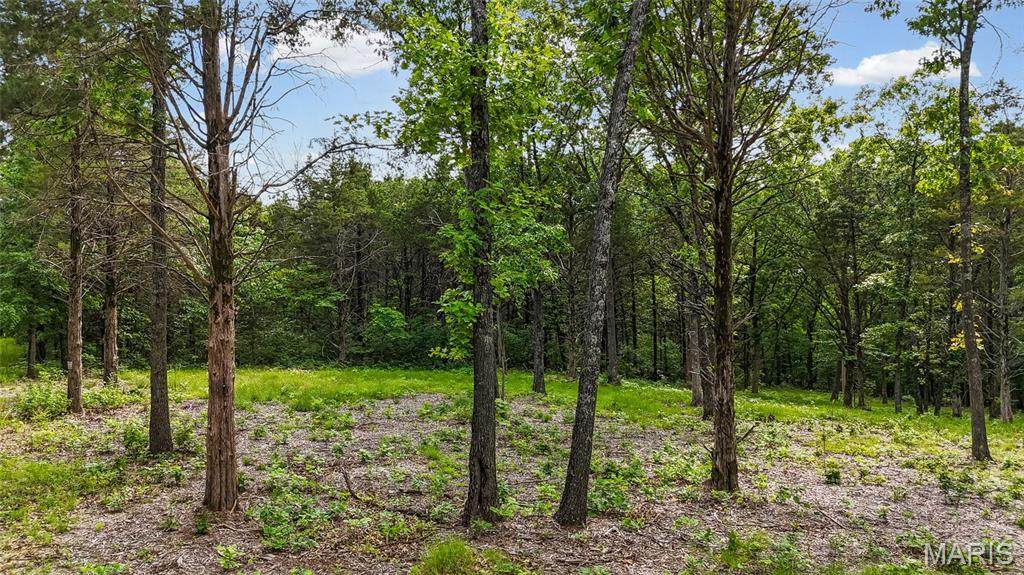 299 Whitetail Ridge - Photo 1
