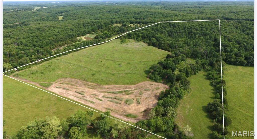 TBD Van Horn Road - Photo 1