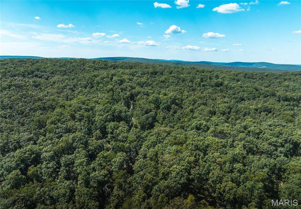 1 Buck Mountain Road - Photo 1