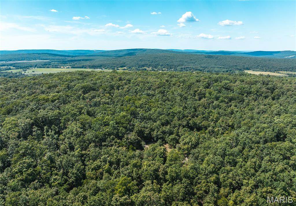 2 Buck Mountain Rd - Photo 1