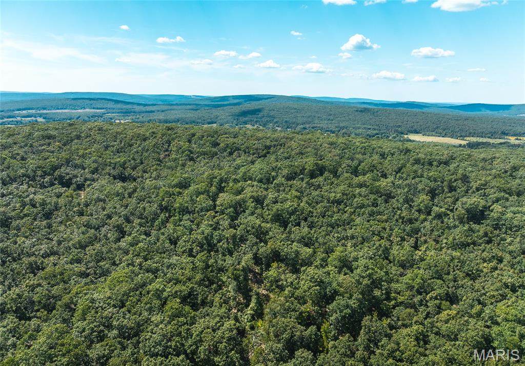 3 Buck Mountain Road - Photo 1