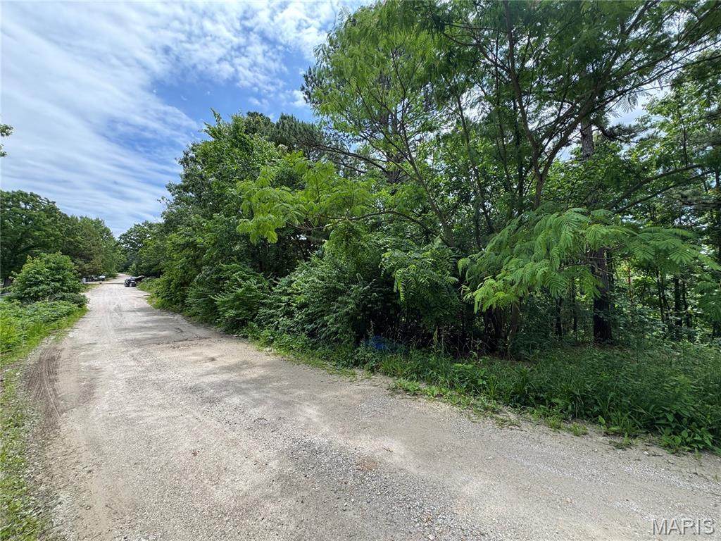 TBD Harvey Drive - Photo 1