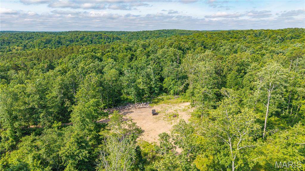 115 Madison Wayne 9305 - Photo 1