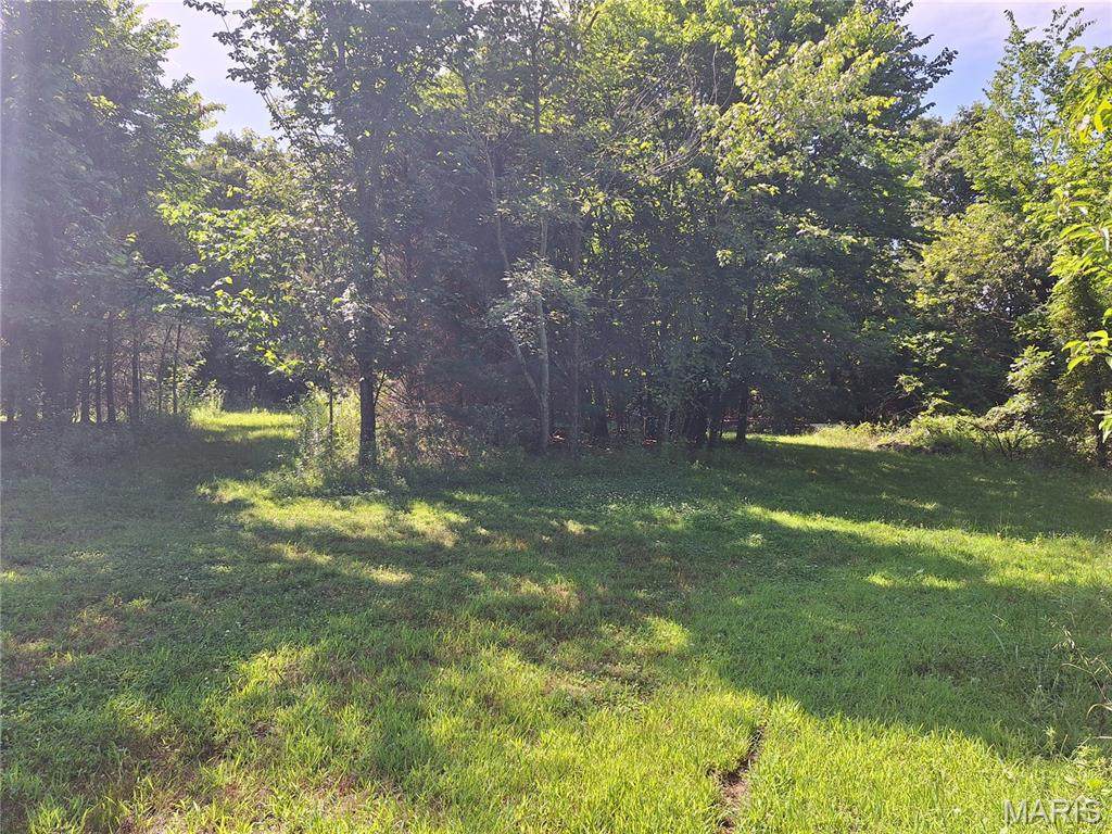 25725 Starlite - Photo 1