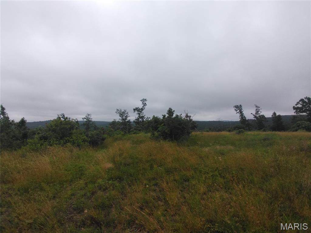 10 Tract 10 Off Hwy O - Photo 1