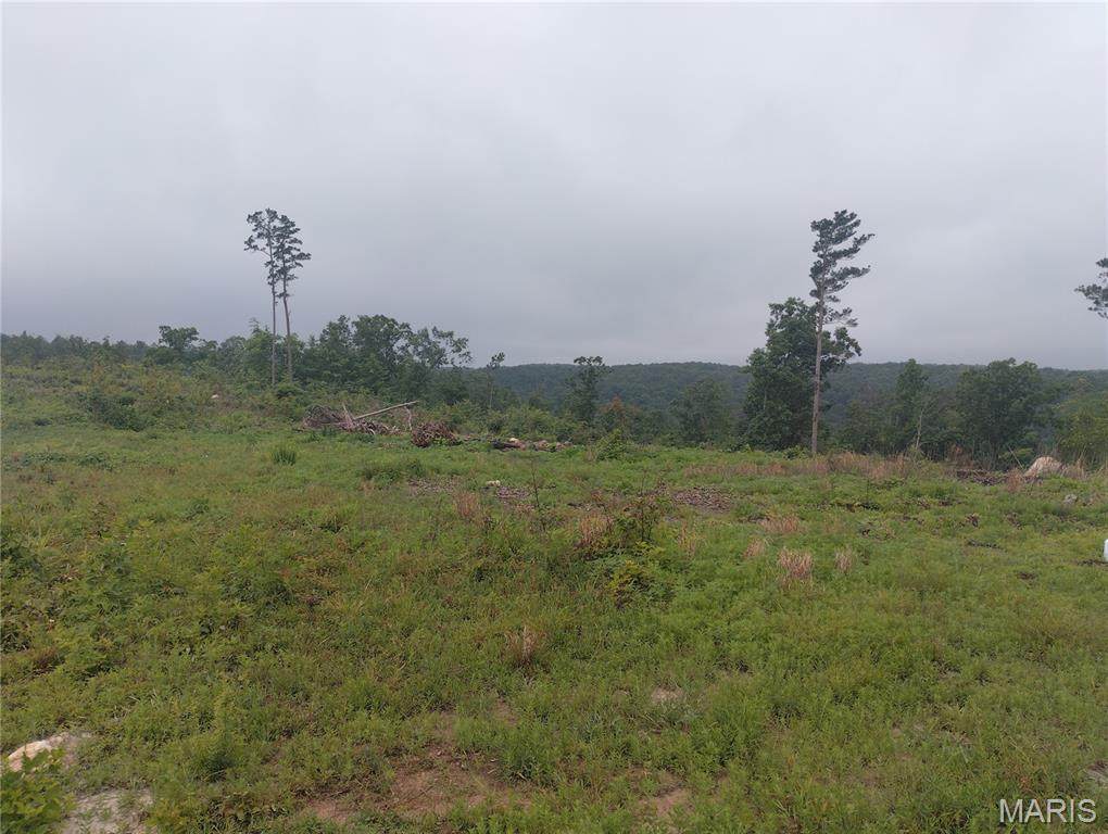 11 Tract 11 Off Hwy O - Photo 1