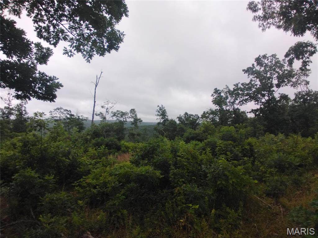 12 Tract 12 - Photo 1