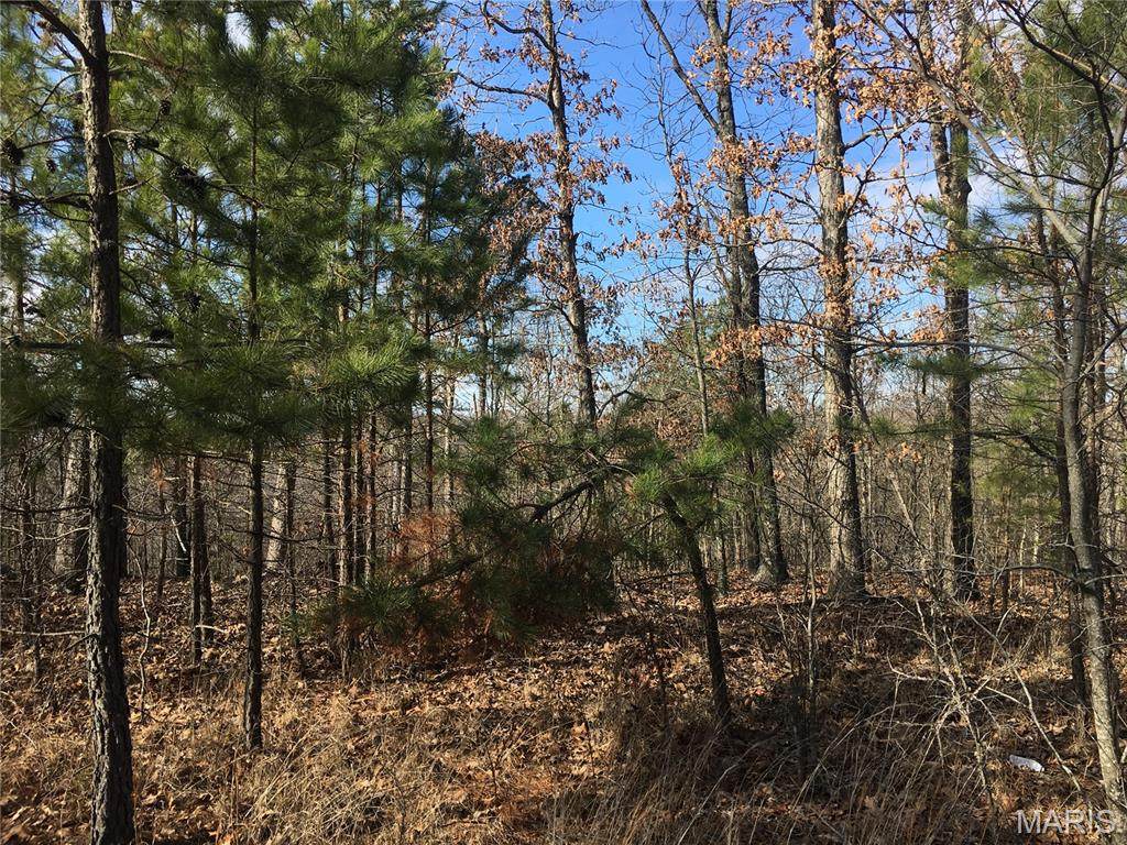 0 County Road 443 - Photo 1