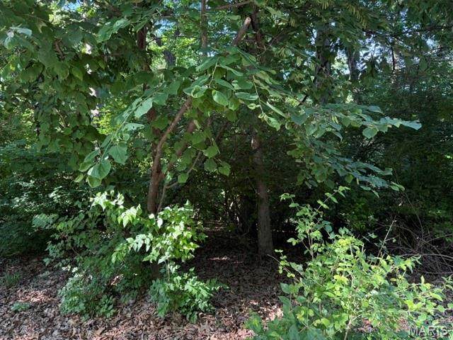 691 Arcola Drive - Photo 1