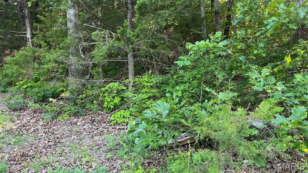 Lot 824 Woodson Road - Photo 1