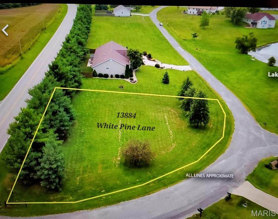 13884 White Pine Lane - Photo 1