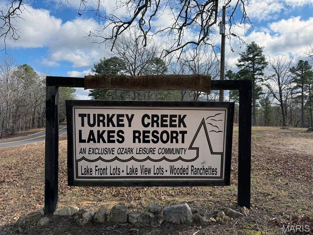 25 Acres - Photo 1