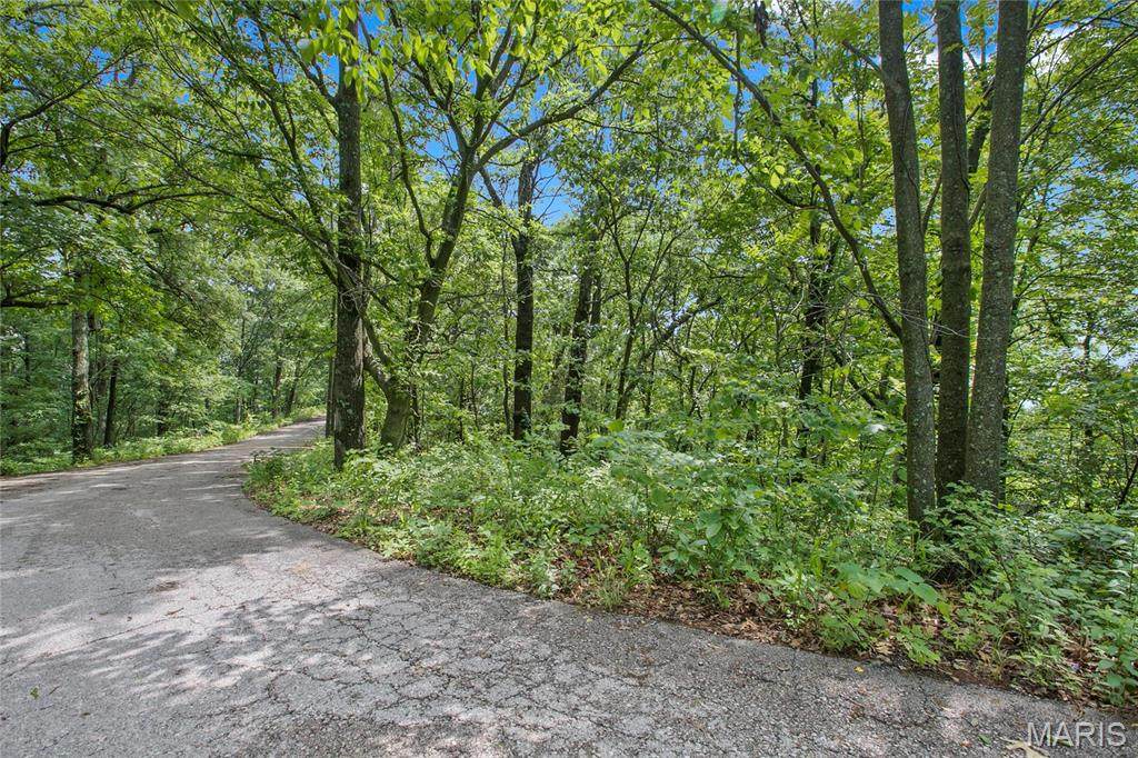 9 acres Clermont Drive - Photo 1