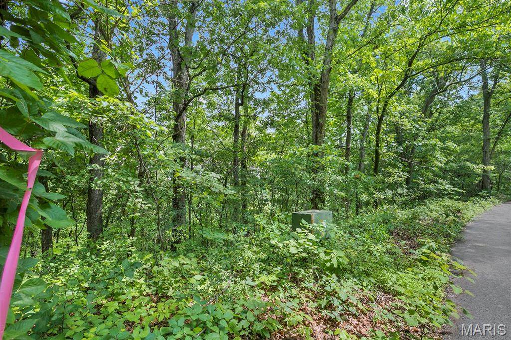 8.5 acres Clermont Drive - Photo 1