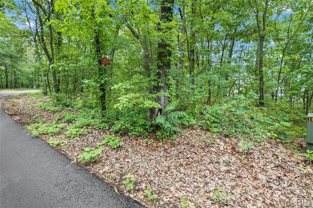 9.41 acres Clermont Drive - Photo 1