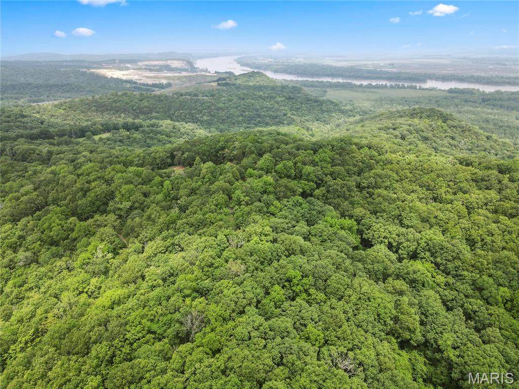 6.26 acres Mississippi Queen Court - Photo 1